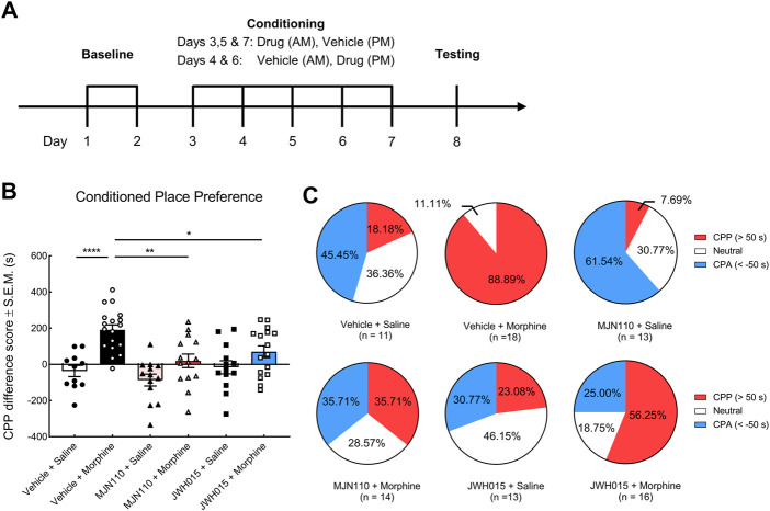 The effects of systemic MJN110 and JWH015 on the sustained morphine-induced conditioned place preference. Conditioned place preference was employed to investigate the modulatory effects of a selective MAGL inhibitor, MJN110, and a selective CB2R agonist, JWH015, on sustained morphine-induced reward. (A) Experimental design of conditioned place preference assay. After baseline testing to establish approximate equal times in the two end chambers, rats were paired with a treatment and one of the end chambers for 5°days. Their chamber preference (access to all chambers) was tested on day 8 with no treatment administered. (B) Rats that received sustained morphine presented a strong preference toward the drug-paired chamber but not saline-treated rats. MJN110 significantly suppressed morphine-induced preference. MJN110 may produce aversive effect on rats but no statistic difference was observed compared to the results from vehicle-saline-treated rats. JWH015 attenuated morphine-induced preference but did not alter the preference in saline-treated rats. (C) Pie plots showing the percentages of rats exhibiting conditioned place preference, aversion or no preference. CPP (red): Animals presenting remarked conditioned place preference (CPP difference score >50°s); CPA (blue): Animals presenting remarked conditioned place aversion (CPP difference score < −50°s); Neutral (white), Animals presenting no remarked preference or aversion (CPP difference score between −50 and 50°s). or *p < 0.05, **p < 0.01, ****p < 0.0001. Values represent the mean ± SEM, n = 11–18 per group.