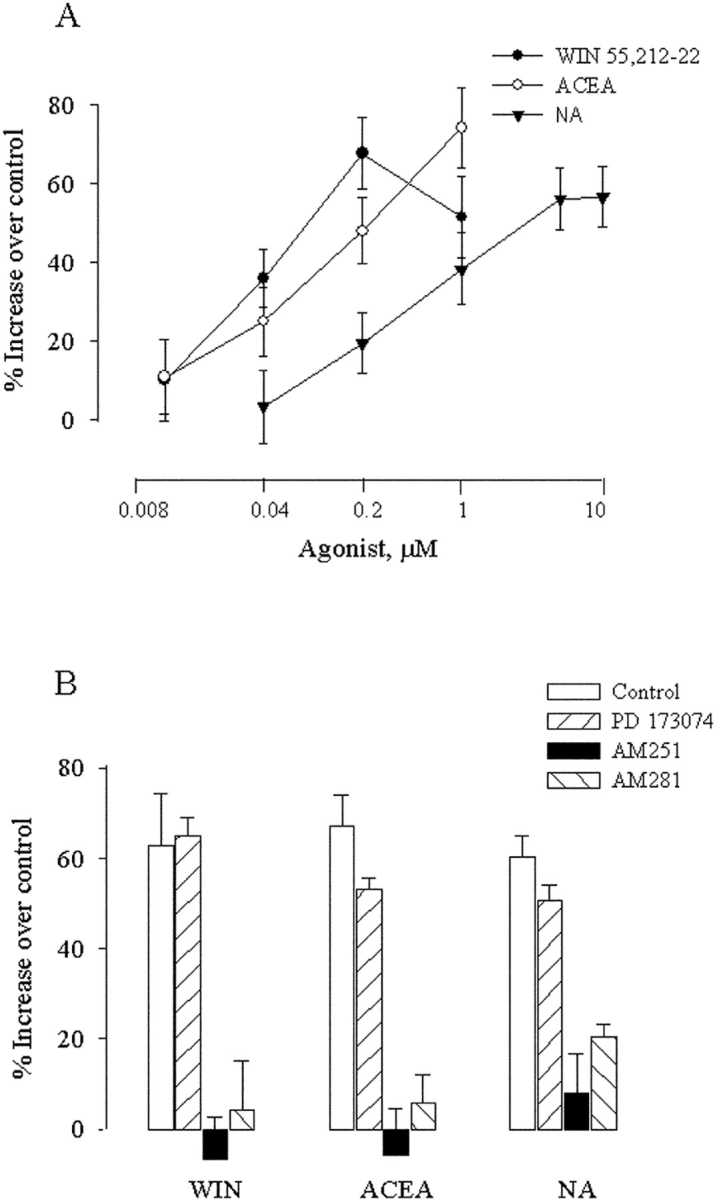 CB1 receptor agonists stimulate neurite outgrowth. (A) Cerebellar neurons were cultured on 3T3 monolayers in control media or media supplemented with the given concentrations of three CB1 receptor agonists (WIN 55,212–2, ACEA, and NA) as indicated. In each instance, the cultures were fixed after 18 h, and the length of the longest neurite per cell was determined from ∼120 neurons. The results are from a single representative experiment, and each value shows the percent increase in mean neurite length relative to control media. Bars show the SEM. (B) Cerebellar neurons were cultured on 3T3 monolayers in control media or media supplemented with 0.2 μM WIN 55,212–2 (WIN), 1 μM ACEA, or 1 μM NA, as indicated. The experiments were done in control media and media supplemented with 500 nM PD 173074, 1 μM AM 251, or 1 μM AM 281. In each instance, the cultures were fixed after 18 h, and the length of the longest neurite per cell was determined from ∼120 neurons. The results are pooled from three independent experiments and show the percent increase in mean neurite length relative to control media. Bars show the SEM.