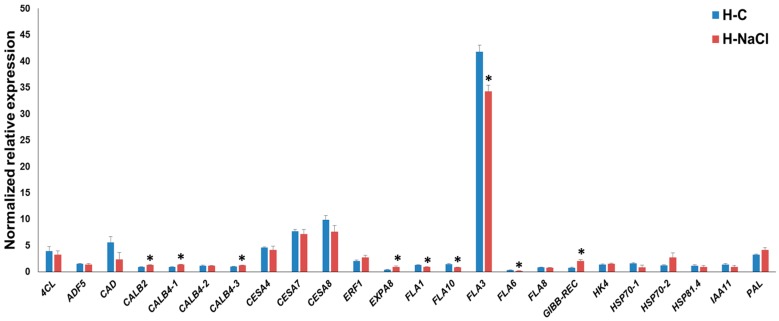 RT-qPCR of hemp hypocotyls under control (H-C) and NaCl exposure (H-NaCl). The asterisks (*) indicates statistically significant differences calculated with the Student’s t-test (p < 0.05).