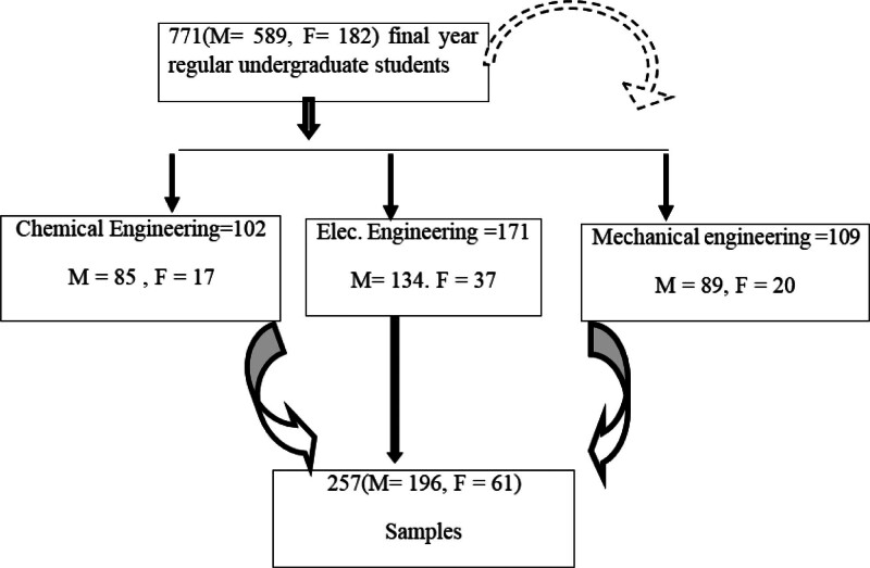 Schematic presentation of sampling procedure. Flow diagram illustrating the selection of final-year undergraduate engineering students for the study. A total of 771 students (M = 589, F = 182) from 3 departments – Chemical Engineering (n = 102; M = 85, F = 17), Electrical Engineering (n = 171; M = 134, F = 37), and Mechanical Engineering (n = 109; M = 89, F = 20) – were initially considered. The final sample comprised 257 students (M = 196, F = 61). Solid arrows indicate the flow of participants from the total pool through each school; the dashed arrow indicates a secondary path considered during recruitment. F = female, M = male, n = total number of participants.