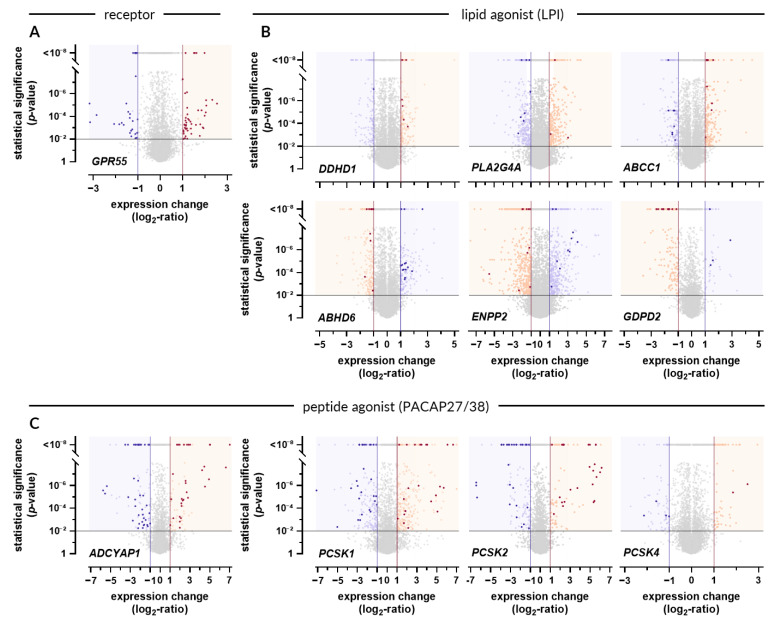 Expression profiles of GPR55 and genes involved in the metabolism of LPI and PACAP27/38. (A) Volcano plot depicting experimental conditions (perturbations) leading to significant change in the expression of GPR55. Statistical significance threshold was set at p-value < 0.01 (black horizontal line). Conditions eliciting substantial upregulation were marked in dark red and were identified based on log2-ratio threshold of 1 (red vertical line). Conditions eliciting substantial downregulation of GPR55 were marked in purple and were identified based on log2-ratio threshold of −1 (purple vertical line). All identified experimental conditions were listed in Supplementary Table S1 (upregulation) and Supplementary Table S2 (downregulation). (B) Perturbations favoring LPI accumulation (dark red dots) or LPI depletion (purple dots) were identified based on the expression profiles of genes involved in LPI production (DDHD1, PLA2G4A, and ABCC1) and in LPI degradation (ABHD6, ENPP2, and GDPD2). The identified experimental conditions were listed in Supplementary Table S3 (LPI accumulation) and Supplementary Table S4 (LPI depletion). (C) Perturbations favoring PACAP27/38 accumulation (dark red dots) or PACAP27/38 depletion (purple dots). The identified experimental conditions were listed in Supplementary Table S5 (PACAP27/38 accumulation) and Supplementary Table S6 (PACAP27/38 depletion). Pale red and pale purple dots indicate datapoints that crossed the p-value and log2-ratio thresholds but were excluded based on criteria described in the Materials and Methods section.