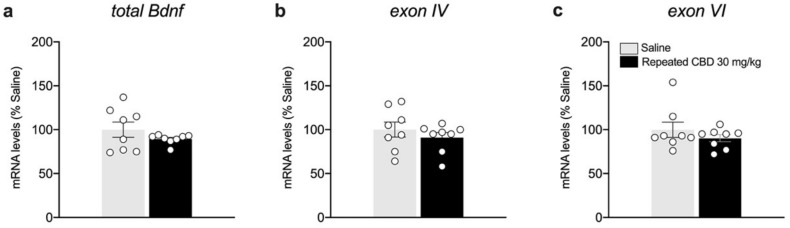 Effects of repeated CBD exposure on Bdnf gene expression levels in the mPFC. Rats were treated with repeated injections of CBD 30 mg/kg for seven days and killed twenty-four hours after the last treatment. Total Bdnf (a), exon IV (b), and exon VI (c) mRNA levels in mPFC are expressed as percentages of saline-treated rats. Bar graphs represent the mean ± SEM from eight independent determinations for each experimental group. Unpaired Student’s t-test. Saline n = 8, CBD 30 mg/kg n = 8.