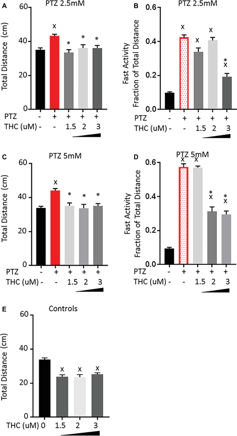 Comparison of PTZ-induced activity patterns following pre-exposure to tetrahydrocannabinol (THC). (A,C) Total activity during 30-min time bin following exposure to 2.5 and 5 mM PTZ. (B,D) Fast activity (>20 mm/s) represented as a fraction of total activity. (E) Control activity following THC exposure. Significance was measured using a one-way ANOVA followed by Dunnet’s multiple comparison test (p = 0.05). X: significant difference from controls.*: significant difference from PTZ (n = 36 for each treatment group; n = 108 for PTZ 2.5, PTZ 5, and controls).
