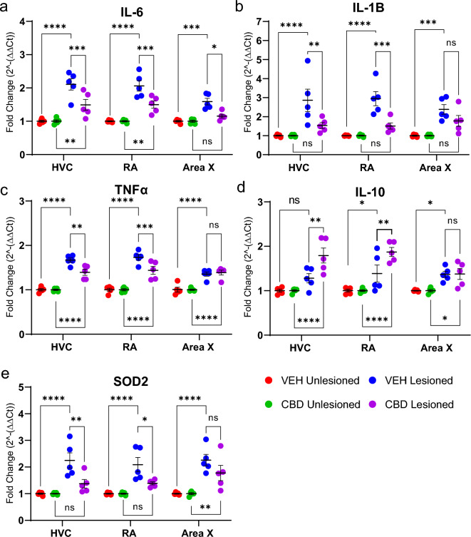 CBD promotes a pattern of anti-inflammatory and anti-oxidative stress-related gene expression. Brain regions from both vocal-motor (HVC and RA) and -learning circuits (Area X) were micropunch dissected, total RNA extracted, cDNA synthesized, and PCR amplified. Gene expression of IL-1B, IL-6, IL-10, TNFα, and SOD2 were normalized to the endogenous control (GAPDH) and fold change from the unlesioned hemisphere was expressed as 2−∆∆CT. To quantify, cDNA from n = 5 per group was amplified in triplicate and the average cycle threshold (Ct) value was calculated. The mean Ct value was then used for further analysis. (A) CBD significantly decreased mean fold expression of pro-inflammatory IL-6 in HVC, RA, and Area X. (B) CBD decreased mean fold expression of IL-1Β in HVC and RA but not Area X. (C) TNFα was decreased in HVC and RA but not Area X. (D) mean fold expression of the anti-inflammatory mediator IL-10 was increased in HVC and RA but not significantly in Area X. (E) Expression of the marker of oxidative stress, superoxide dismutase 2 (SOD2) was decreased within HVC and RA. Note that tissue was obtained 24 h post-lesion and thus represents a “snap-shot” of inflammatory cytokine expression that is known to vary with time post-injury24. Group differences were assessed by mixed-models ANOVA with Sidak’s multiple comparison correction.