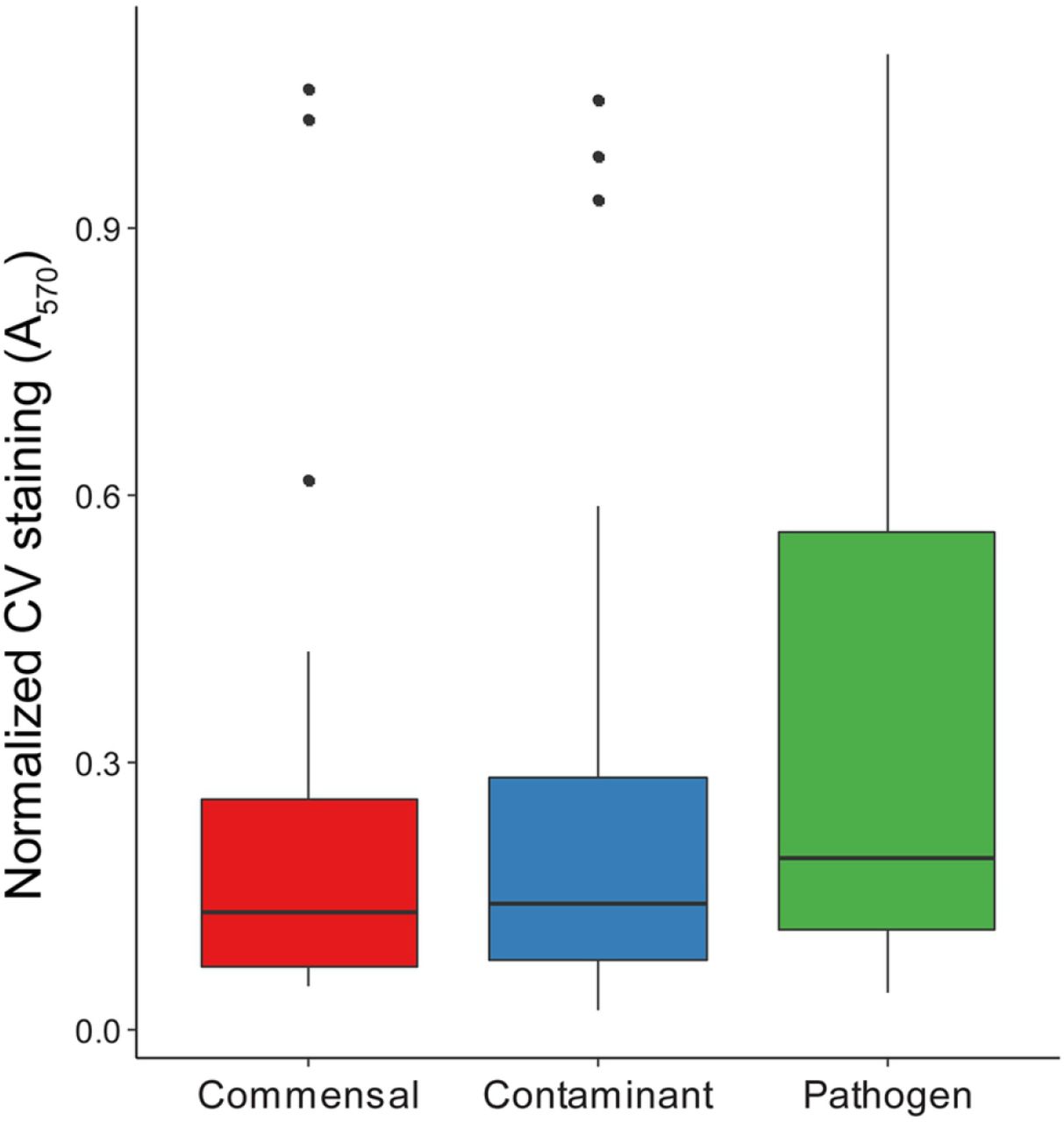 Biofilm forming capacity of isolates as determined by crystal violet staining normalized to the established biofilm former S. epidermidis RP62A.