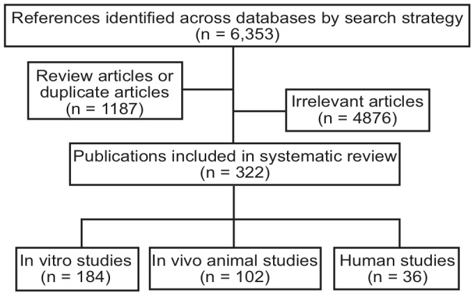 Selection process for study inclusion.