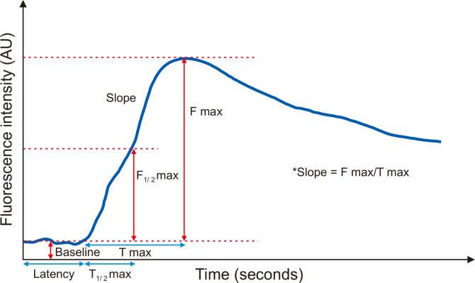 Time–fluorescence curve of ICG angiography. F max, peak fluorescence intensity; F1/2 max, fluorescence intensity halfway between the baseline and F max; T1/2 max, the time at which the fluorescence intensity reaches F1/2 max; Slope, F max/T max.