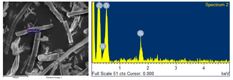 Micrograph of hemp fiber after APTS functionalization and EDX spectrum.