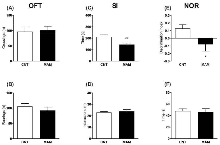 Effects of perinatal MAM exposure on the behavioral phenotype of rats that were tested (A,B) in the open field test (OFT), (C,D) in the social interaction (SI) test, and (E,F) in the novel object recognition (NOR) test at adulthood. Data are presented as means ±S.E.M. (n = 9–15). * p < 0.05 and ** p < 0.01 vs. CNT.