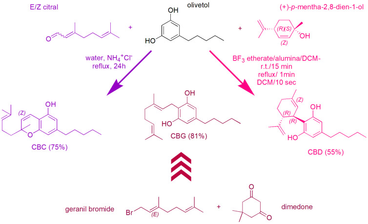 Overview scheme showing the synthetic procedures selected by us as the most convenient in terms of yields to obtain CBC (purple route), CBD (pink route) and CBG (amaranth route). In the route to CBG, each arrow represents a reaction step.