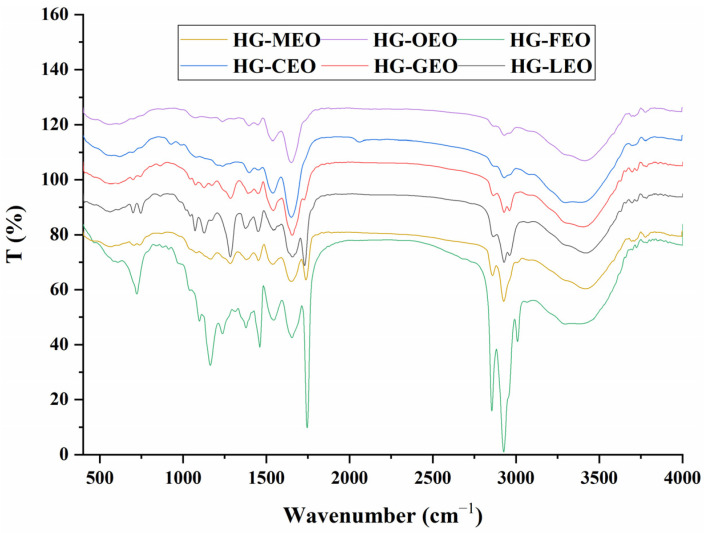 FTIR spectra of essential oil encapsulated in hemp protein isolate (HPI)–gallic acid conjugates. HG: conjugates of hemp protein isolate and gallic acid; LEO: essential oil from lemon; GEO: essential oil from grapefruit; CEO: essential oil from camellia; FEO: essential oil from fragrans; OEO: essential oil from oregano; MEO: essential oil from mustard.