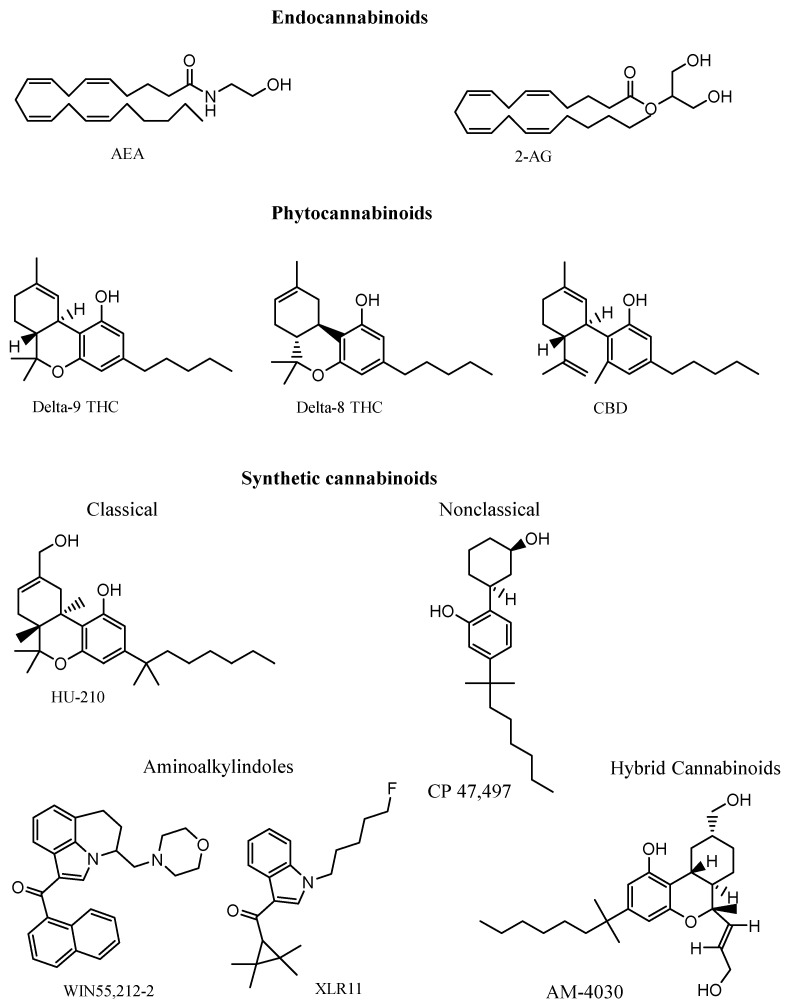 Endocannabinoids are natural agonists produced by the enzymes of neurons; phytocannabinoids are produced exclusively in the secondary metabolism of the Cannabis sativa plant; and synthetic cannabinoids, which are new molecules with a very wide structural diversity, are currently prohibited for synthesis, use, and distribution by the general public around the world. Abbreviations: AEA, anandamide; 2-AG, 2-arachidonoylglycerol; CBD, cannabidiol; THC, tetrahydrocannabinol.