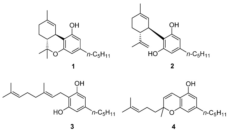 Structures of the “Big Four” phytocannabinoids: Δ9-THC (1), CBD (2), CBG (3), and CBC (4).