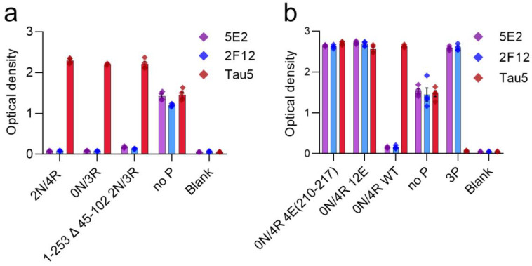 Epitope characterization of 5E2 and 2F12 using recombinant tau proteins by ELISA. Characterization of 5E2 and 2F12 epitope was further investigated by ELISA using full-length tau isoforms (2N/4R, 0N/3R), truncated tau protein 1–253 Δ 45–102 of 2N/3R, and no P peptide (a). Phospho-mimetic tau proteins (0N/4R 4E(210–217), 0N/4R 12E), WT 0N/4R as well as no P and 3P peptides were used for additional characterizations (b). Numbering is according to the longest tau isoform present in the CNS.