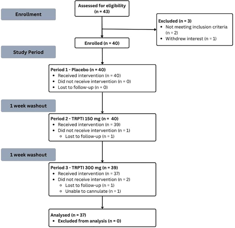 Flowchart depicting participant progression in a clinical study: forty-three assessed for eligibility, three excluded, forty enrolled. All received placebo, thirty-nine received TRPTI 150 mg, and thirty-seven received TRPTI 300 mg. Thirty-seven were analyzed, with reasons for non-participation and loss to follow-up detailed for each period.