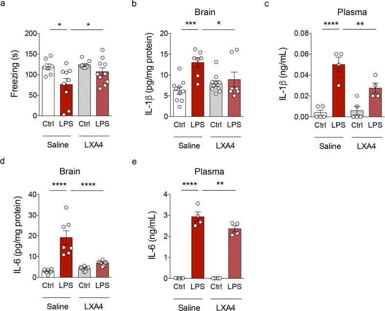 LXA4 attenuates inflammation-induced memory failure and cytokine production in mice.a Freezing (seconds) of control or LPS-injected mice (0.3 mg/kg) treated with vehicle or 1 pmol LXA4 (i.c.v) in the contextual fear conditioning task. b–e Brain and plasma levels of IL-1β (b, c) or IL-6 (d, e) in control or LPS-injected mice (0.3 mg/kg; i.p.) treated with vehicle or 1 pmol LXA4 (i.c.v). Two-tailed unpaired two-way ANOVA followed by Holm–Šidák post hoc test (*p < 0.05; **p < 0.01; ***p < 0.001; ****p < 0.0001). Graphs show means ± standard error of the mean (SEM).
