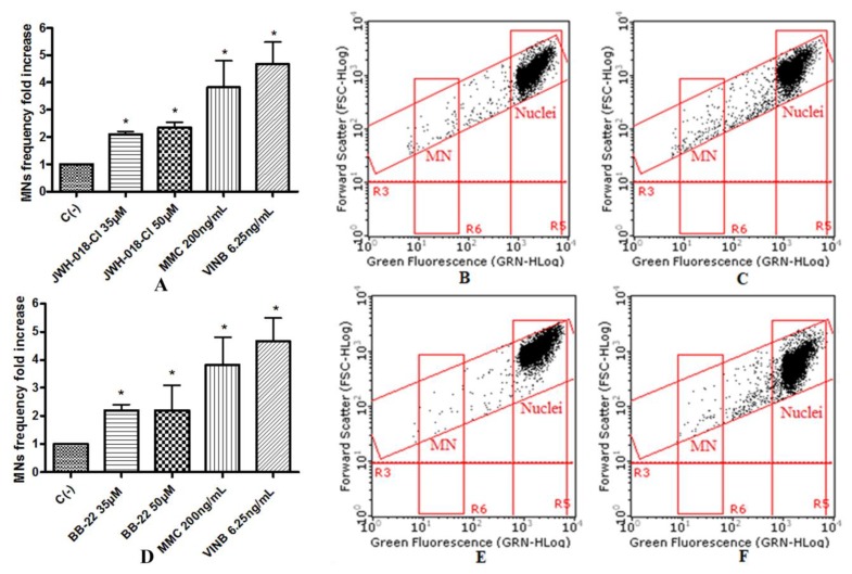 MN’s frequency fold increase on TK6 cells after 26 h treatment with JWH-018-Cl (A) and BB-22 (D) at the indicated concentrations with respect to the untreated negative control [C (-)] and to positive controls [MMC and VINB], plot of nuclei and micronuclei in untreated control (B,E) and in 35 µM treated (C,F). Data were analyzed using repeated ANOVA followed by Bonferroni post-test. * p < 0.05 versus C (-).