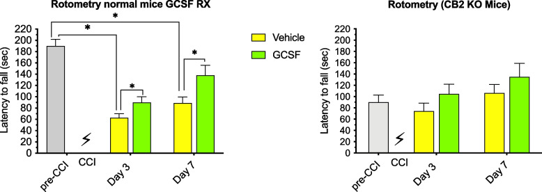 Baseline (pre-CCI) performance in normal control mice (left panel) was twice that of CB2 KO mice (right panel). Left panel: 2-way ANOVA (n = 4 mice per cohort) of control mice shows that both treatment and time contributed significantly to total variance (p < 0.05). Tukey’s multiple comparisons test showed G-CSF treatment enhanced recovery of rotometry performance on days 3 and 7 after CCI in normal mice (*p < 0.05). Right panel: 2-way ANOVA showed that neither treatment nor time had a significant effect on rotometry performance by CB2 KO (n = 4 mice per cohort) mice. Tukey’s multiple comparison testing did not reveal significant differences between vehicle and G-CSF treated mice