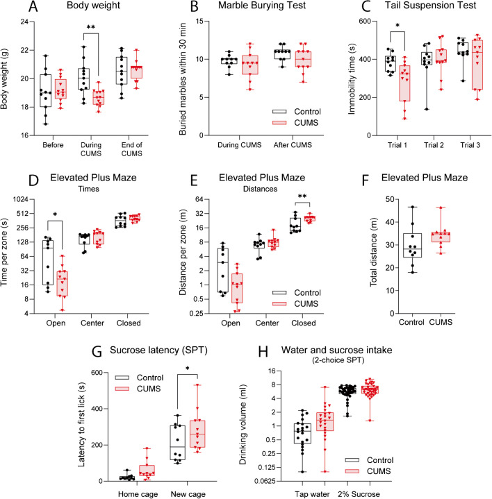 Behavior in a chronic unpredictable mild stress (CUMS) model of chronic environmental stress in mice. CUMS mice (n = 11) were exposed to mild daily stressors including cage switch, itch, cold exposure, predator odor, headache, no bedding, wet bedding, lights on overnight, no food overnight, no water overnight, restraint, cage shaking, tilted cage, or ultrasound noise for 6 weeks. Control mice (n = 10) were kept in neighboring cages without stress. Behavioral tests were done in the final CUMS week or at the end of the CUMS protocol. A Body weight before, during, and at the end of the CUMS protocol. B Numbers of buried marbles in the marble burying test (MBT, 12 marbles provided) within 30 min during and at the end of the CUMS protocol. C Immobility time in the tail suspension tests (TST) in three trials in the last 3 days of the CUMS protocol, one trial per day. D–F Path lengths (D) and times spent (E) in open and closed arms and the center compartment in elevated plus maze (EPM) test, and total distances traveled during the EPM observation of 10 min (F). G Latency to first licking from a standard bottle providing sweet water (2% sucrose in water) in the home cage and in an unfamiliar cage. H Water and sucrose-water intake (ml) in a 2-choice sucrose preference test (SPT) in home cages. The boxes show the interquartile range; the line is the median; the whiskers show minimum to maximum; scatters represent mice. Data were submitted to 2-way ANOVA (group X time, or group x EPM arm, etc.) and subsequent post hoc t-tests comparing CUMS versus control. Total EPM distances (F) were compared with a 2-sided unpaired Student’s t-test. The asterisks show significant differences between CUMS and control (*P < 0.05; **P < 0.01)