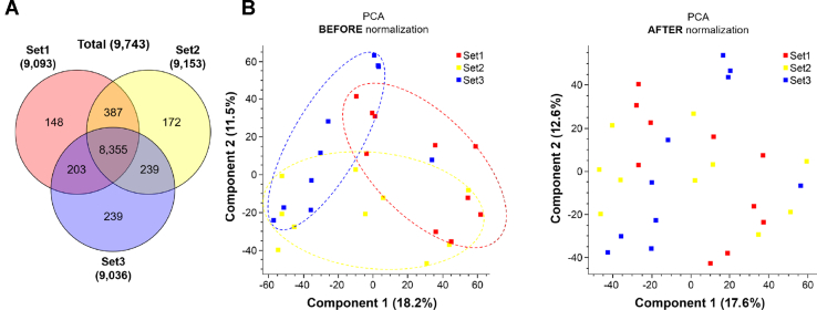 The number of identified proteins and removal of batch effect by the ComBat package.A, the number of the identified proteins in each batch is shown in the Venn diagram. B, to minimize batch effects of the three different TMT experiments, they were further normalized using the ComBat package after normalizing each set using MP. Thirty SN samples were shown on a 2D PCA plot to show potential batch effects before (left panel) and after (right panel) the normalization using the ComBat package. MP, master pool; PCA, principal component analysis; SN, substantia nigra; TMT, tandem mass tag.
