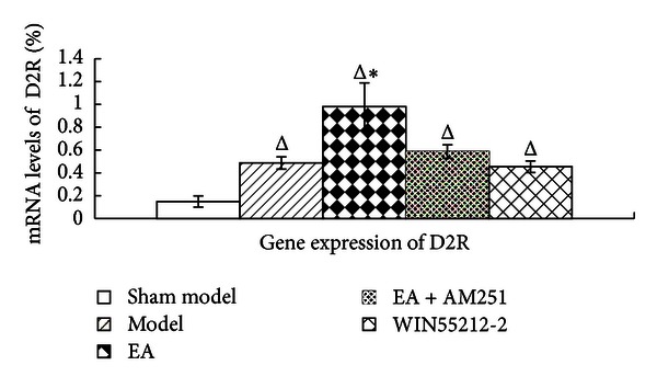 D2 receptor gene expression levels in the corpus striatum in the indicated groups. The data are presented as mean ± SD (n = 5). Δ P < 0.001 versus sham-model group at the same time-point. *P < 0.01 versus model group at the same time-point.