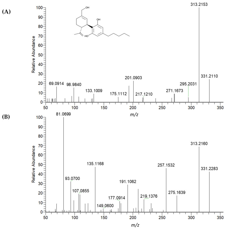 Experimentally obtained high-resolution fragmentation spectra of the protonated ion of 7-OH-CBD (7-hydroxycannabidiol) (A) and a tentatively identified hydroxylated metabolite (B) in ESI+ mode (m/z 331.2268). The spectra were acquired under identical conditions using UHPLC (Ultra-high performance liquid chromatography) with a BEH C18 column (150 × 2.1 mm; 1.7 µm), coupled to a Q-ExactiveTM Hybrid Quadrupole-OrbitrapTM mass spectrometer. Separation was performed using a gradient elution with mobile phase (A) water/acetonitrile (95:5, v/v) and (B) methanol/acetonitrile/water (60:35:5, v/v/v), both containing 5 mM ammonium formate and 0.1% formic acid.