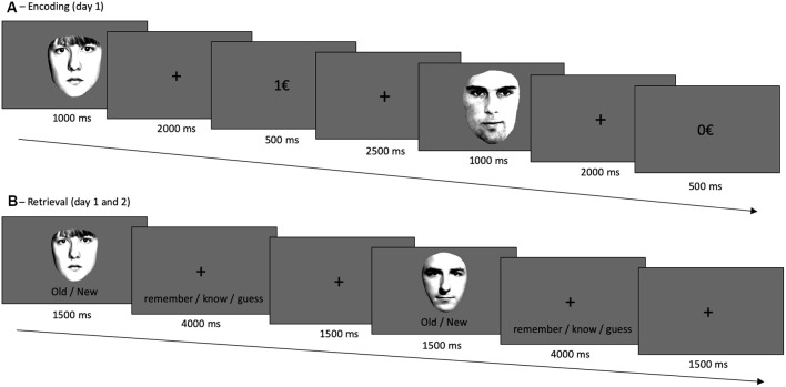 Experimental design. (A) During encoding, participants responded to male vs. female faces via button presses. One category was, upon correct categorization, rewarded; in this case female faces. (B) Retrieval, on day 1 and day 2, followed a remember/know recollection paradigm, see text. The frontal-view photographs of unfamiliar adult faces were used before (Bunzeck et al., 2006) and taken from “The Psychological Image Collection at Stirling (PICS, http://pics.psych.stir.ac.uk/)”.