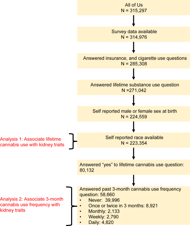 “All of Us” cohort overview. Flowchart describes the preprocessing steps used to generate the final subset of the All of Us cohort used.