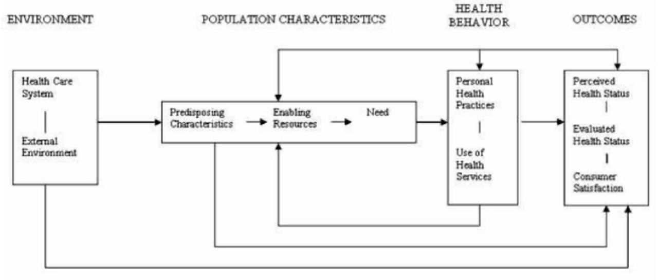 The Andersen-Newman Theoretical Framework of HealthServices Utilizations