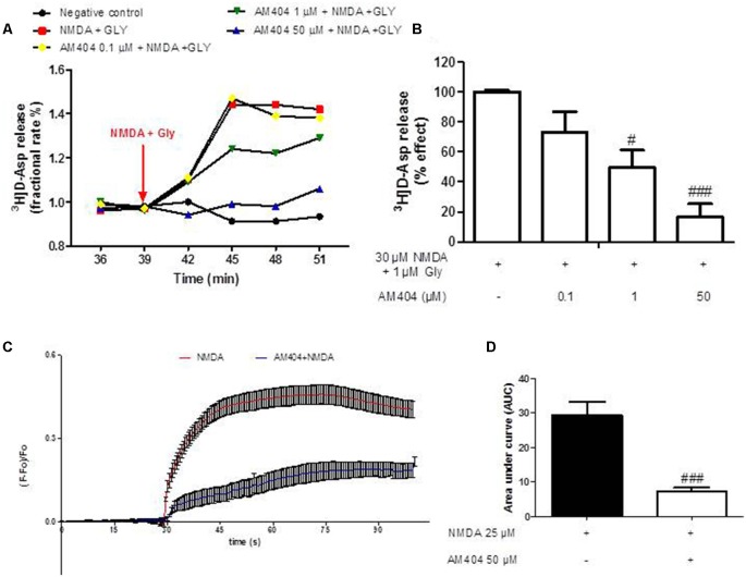 Effects of AM404 on [3H]D-Asp release in hippocampal synaptosomes and intracellular Ca2+ responses. (A) Time course of [3H]D-Asp release induced by NMDA plus Gly and effects of AM404 in hippocampal synaptosomes. Results are expressed as fractional rate percent. (B) AM404 inhibition of the NMDA plus Glycine-evoked-[3H]D-Asp release in hippocampal synaptosomes. (C) Data of calcium imaging expressed as fluorescence intensity (ΔF/F baseline) vs. time. (D) Data of calcium imaging calculated the area under the curve (AUC). Data are means ± SEM of three independent experiments. #p < 0.05 and ###p < 0.001 compared to NMDA (one-way ANOVA followed by Bonferroni post hoc tests for [3H]D-Asp release and unpaired t-test of three independent experiments for calcium imaging).