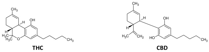 Chemical structure of delta-9-tetraidrocannabinolo (THC) e cannabidiol (CBD).