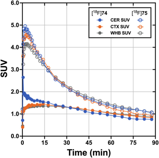 Time–activity curves of [18F]74 and [18F]75 in male rhesus macaques for the cerebellum, cortex, and whole brain.