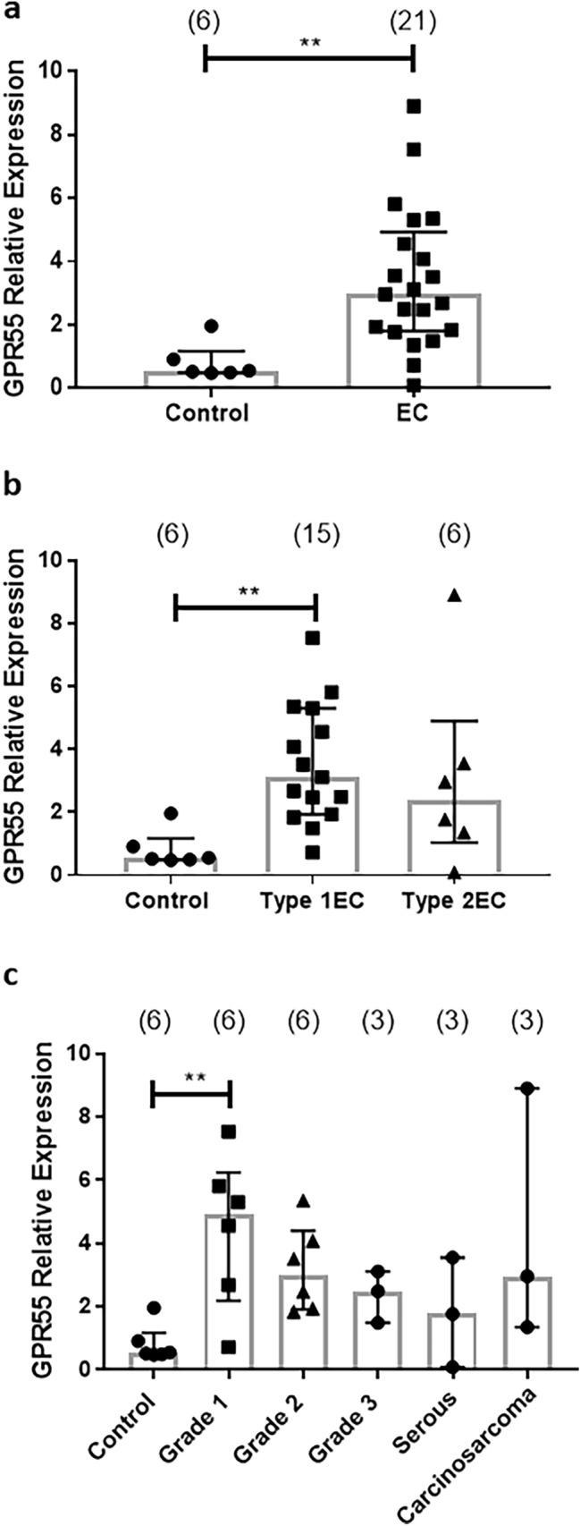 Expression of GPR55 transcript levels in normal and cancerous endometrial tissues. GPR55 transcript levels were normalised against the geometric mean of three ‘housekeeping genes’ and the median of the control endometrium (atrophic) value to provide a relative gene expression value. Data are presented as individual data points for each patient sample together with [median ± (IQR) and range] for control (atrophic), endometrial cancer (EC), Type 1 and Type 2 EC, grades 1, 2 and 3 Type 1 EC tissue, and Type 2 EC (serous and carcinosarcoma) tissues. p values were obtained using Mann–Whitney U test (a; **p = 0.002) and Kruskal–Wallis ANOVA with Dunn’s ad hoc post-test (b; **p = 0.007 and c; **p = 0.009)