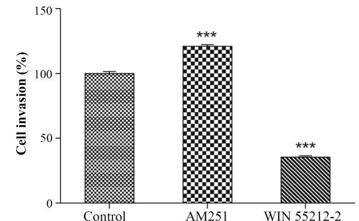 K562 cells were treated with 3 μM WIN 55212-2 and 0.2 µM AM251 for 48 h. Invasion assay was performed by using the Boyden chamber method. ***p < 0.001 as compared with the controls