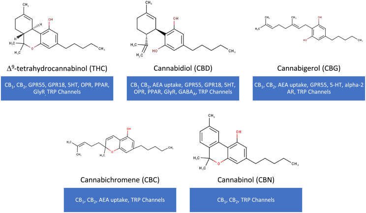 Phytocannabinoids and their molecular targets. Chemical structures of THC, CBD, CBG, CBC, and CBN. Most cannabinoids interact with CB1 and CB2 receptors, GPR55 and TRP channels but have activities at a variety of other molecular targets [21, 22].