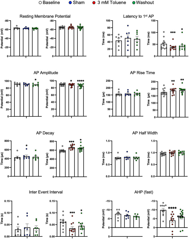 Summary of changes in electrophysiological parameters before, during and after exposure to Sham aCSF or 3.0 mM toluene. Graphs show resting membrane potential, latency to first action potential, AP amplitude, AP rise time, AP decay, AP half width, inter event interval, and fast after-hyperpolarization potential. Data are expressed as mean ± SEM; aCSF Sham (n = 8 cells/3 animals), toluene (n = 11 cells/4 animals). Symbols: *p < 0.05, **p < 0.01, ***p < 0.001, ****p < 0.0001; value significantly different from baseline, one-way ANOVA with Dunnett’s post-hoc.