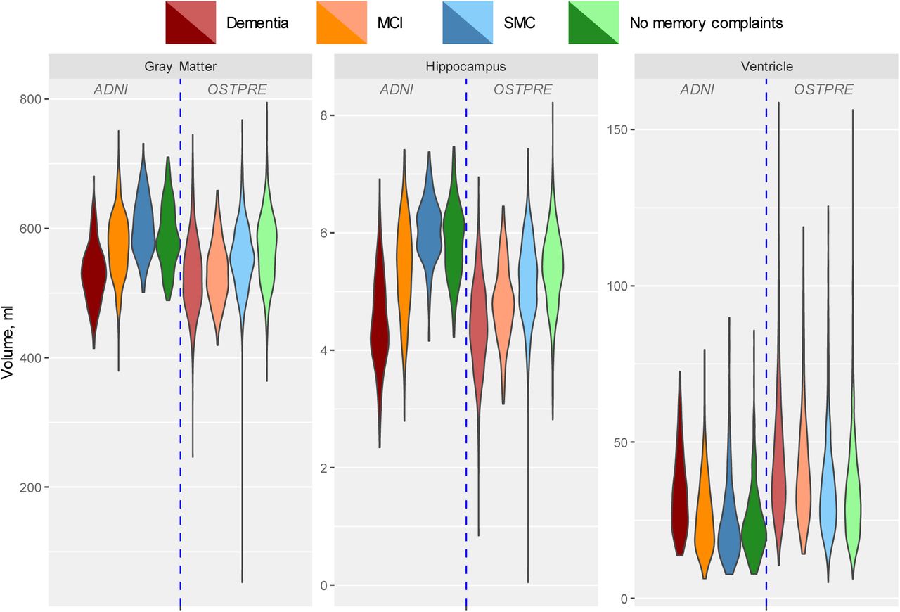 Violin plot of raw values of total gray matter, hippocampus and ventricles volumes across participants, grouped by four cognitive status categories and cohorts (ADNI and OSTPRE). ADNI = Alzheimer’s Disease Neuroimaging Initiative, OSTPRE = The Kuopio Osteoporosis Risk Factor and Prevention Study, MCI = Mild Cognitive Impairment, SMC = Subjective Memory Complaints