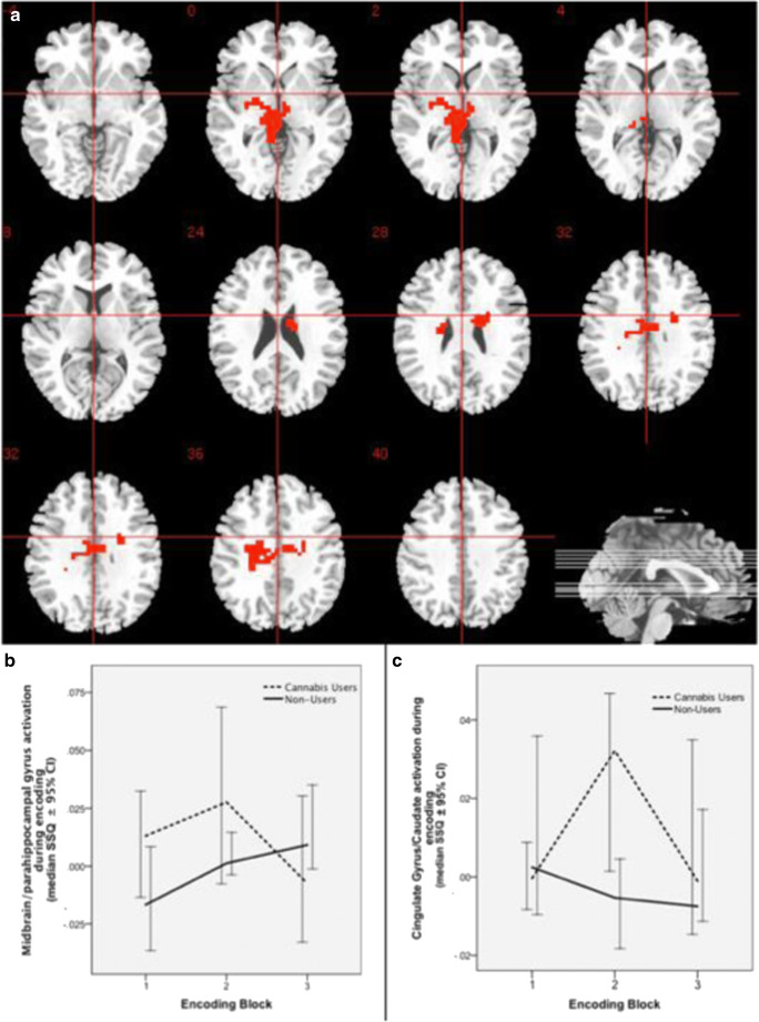 Change in brain activation during repeated encoding. a Group difference activation map. b Median activation of cannabis users and non-users in midbrain cluster extending to the parahippocampal gyrus and thalamus. c Median activation of cannabis users and non-users in the right cingulate gyrus extending to caudate. Right side of the brain is represented in the right side of the images