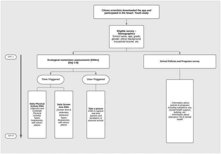 Smart educator survey deployment.