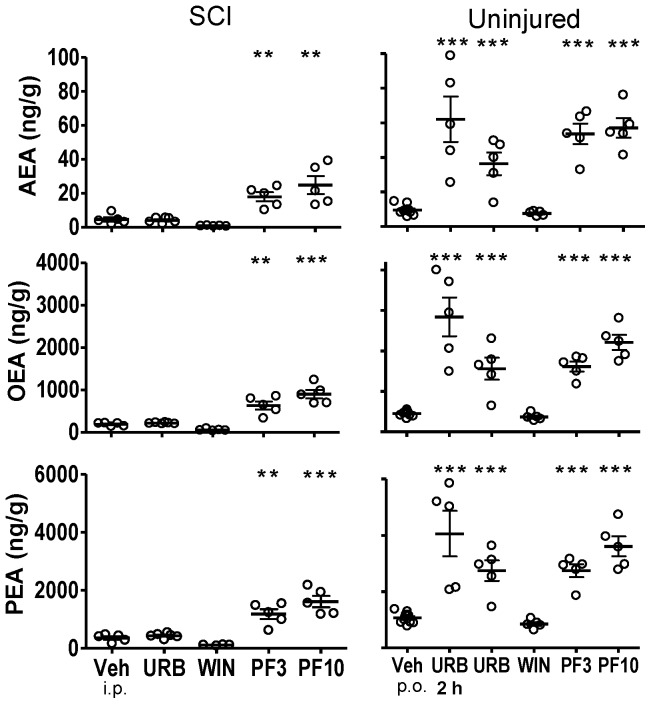Fatty acid amide concentrations in thoracic spinal cord segments from the epicenter of injury from SCI rats or comparable spinal cord segments from uninjured rats following treatment with FAAH inhibitors, WIN 55,212-2 and vehicle.Both SCI and uninjured rats were treated with either URB597 (URB; 3 mg/kg, i.p.), WIN 55,212-2 (WIN; 3 mg/kg, s.c.) or vehicle (Veh; 1 ml/kg, i.p.) for seven days and euthanized four hours following the last treatment. One group of uninjured rats was treated once with URB597 and euthanized two hours (2 hr) following treatment. Rats that received PF-3845 (PF3, PF10) were treated once (3, 10 mg/kg, p.o.) and euthanized four hours following dosing. Levels of AEA, OEA and PEA from each rat are shown, the thick horizontal line is the mean and the thin horizontal lines are the S.E.M. n = 4–10/group. * p<0.05, **p<0.01, ***p<0.001 vs. vehicle (Student's t-test).