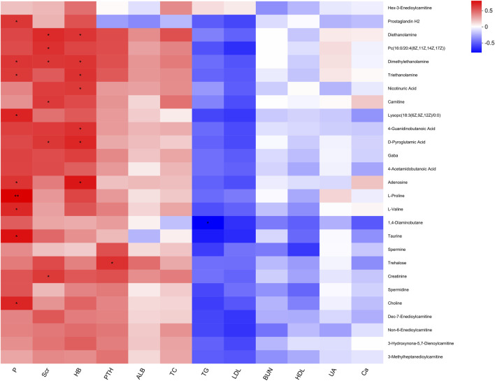 Heatmap showing correlations between various biochemical substances and clinical parameters. Red indicates positive correlations, blue indicates negative correlations, and color intensity represents correlation strength. Parameters include P, Scr, HB, PTH, and more. Substances such as Hex-3-enoylcarnitine and Prostaglandin H2 are labeled on the right. Asterisks denote statistically significant values.