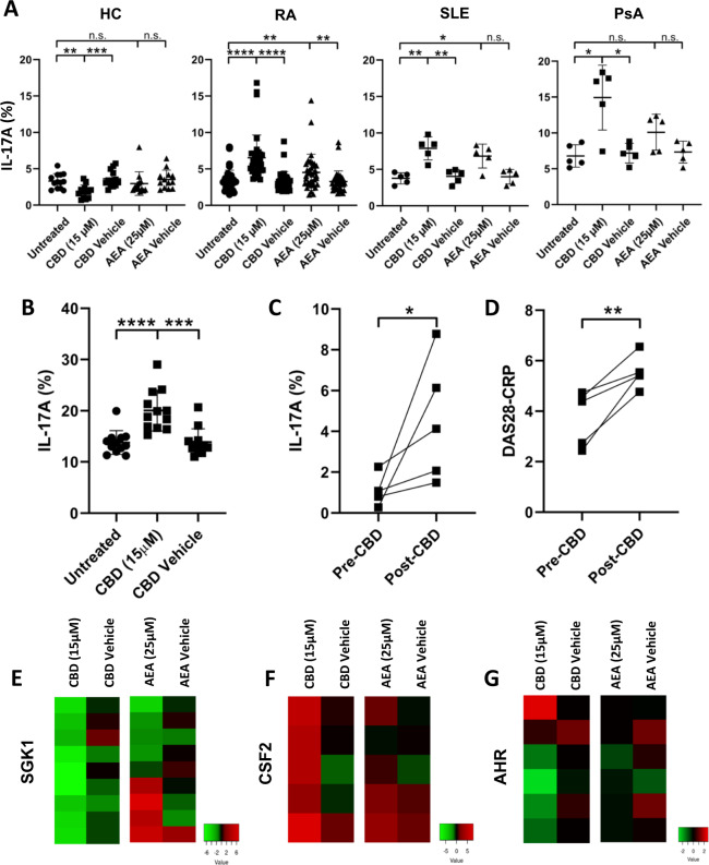 Cannabinoids induce Th17 cell differentiation in patients with rheumatic diseases. a Expression of IL-17A in CD4+ T cells from healthy controls and patients was analyzed by flow cytometry (HC, n = 13; RA, n = 36; SLE, n = 5, PsA, n = 5). b CBD-mediated induction of IL-17A expression in CD4+ T cells from RA patients in the presence of TGFβ, IL-1β, IL-6, and IL-23 (n = 12). c Increase in IL-17A-positive Th17 cells in patients receiving cannabidiol oil for 4–8 weeks (n = 5). d DAS28-CRP in patients receiving cannabidiol oil for 4–8 weeks (n = 5). e–g Heat maps showing gene expression in RA patients treated with CBD or AEA. Gene expression was analyzed by RT-PCR. *p < 0.05, **p < 0.01, ***p < 0.001, ****p < 0.0001; the data are presented as the mean ± SEM; significant differences were determined using the unpaired Mann–Whitney test and Student’s t test