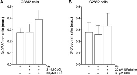 Mean ± standard deviation (SD) of maxima of 340/380 ratios of three independent [Ca2+]i measurements on C28/I2 cells treated with 30 µM CBD in the absence or presence of 2 mM CdCl2 (A; three independent experiments; 51 single cells) or 20 µM Nifedipine (B; three independent experiments; 79 single cells).