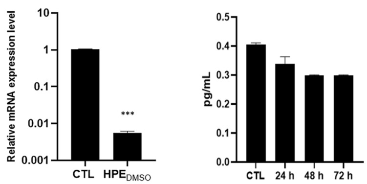 Effects of HPEDMSO on MMP-13 production. Cells were treated with 0.1 mg/mL HPEDMSO for 24 h and then the mRNA was extracted and analyzed by RT-PCR. MMP-13 mRNA level was reported as relative mRNA expression level with respect to 18S mRNA (2−ΔΔCt method). The amount of MMP-13 produced was measured in the culture medium of cells and analyzed by ELISA. The results are reported as pg/mL. Results are expressed as mean ± SEM of data obtained by three independent experiments. *** p < 0.005 vs. CTL.