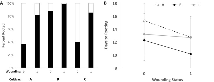 Response of clonal rooting to environmental and genetic context.A) Frequency of cuttings that produced roots for three cultivars (A: Bubba Kush, B: Ghost Train Haze, C: Headband), depending on whether stem cuttings were wounded (1) or not (0). B) Average number of days until stem cuttings produced roots for three cultivars and experimental wounding.
