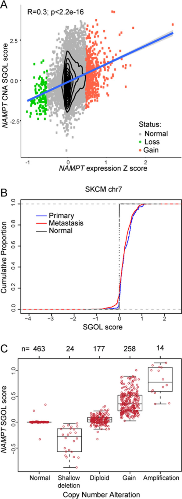 NAMPT is genetically amplified in cancers, specifically in melanoma. A Scatter plot showing a positive correlation between NAMPT expression levels (Z score) and copy number alteration (CNA) SGOL scores across all TCGA samples for which paired CNA and expression values were present. R: Pearson coefficient, p: p-value. B Cumulative distribution function (cdf) plot of SGOL score for all coding genes on chr7 in primary (blue), metastatic (red) and matched blood-derived normal (black) samples from TCGA SKCM cohort. We can notice the shift toward left for the cdf of primary and metastatic derived samples respect to normal samples indicating amplification of the NAMPT gene. C Boxplot representing the quantification (n) and categorization of NAMPT SGOL scores from SKCM and control-matched samples