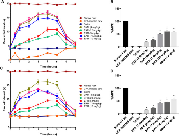 Time course of paw withdrawal responses (A, C) observed after acute oral administration of E. angustifolia root extract (EAR) or E. purpurea root extract (EPR) and dexamethasone in peripheral pain in rats and corresponding area under the curve (AUC) for each treatment expressed as percent of maximum possible effect (%MPE) (B, D). The Normal Paw group is placed as a reference of the maximum possible effect. Saline solution was used as vehicle control for Complete Freund’s Adjuvant (CFA). In all cases, data are presented as mean ± SEM for 6 rats. Significant differences were determined by ANOVA analysis and post hoc Dunnett’s t-test relative to saline vehicle (*p < 0.01).