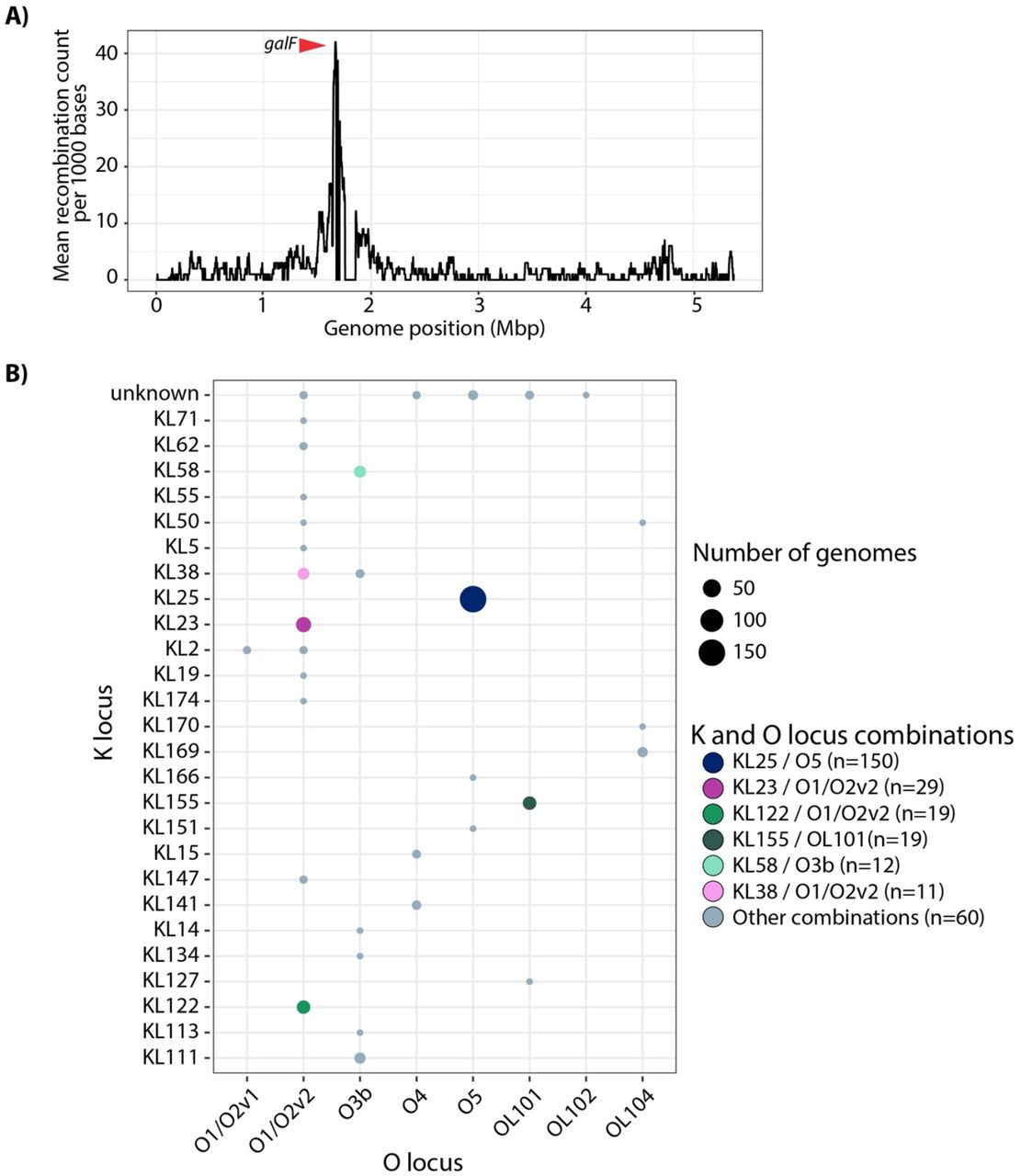 Recombinations and K/O loci diversity.A) Recombination counts per base calculated over non-overlapping windows of 1000 base pairs. There is a peak in the recombination count, which surrounds the K and O loci. The red arrow indicates the gene galF, which is the 5’ K locus gene. B) Combinations of K and O loci found among the 300 genomes. Bubbles indicate the number of genomes and are coloured by the K/O combinations as in Figures 2 and 3.