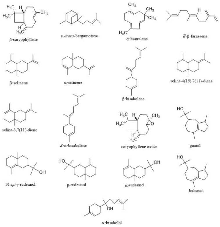 Chemical structures of the main sesquiterpenes found in the 9 EOs.