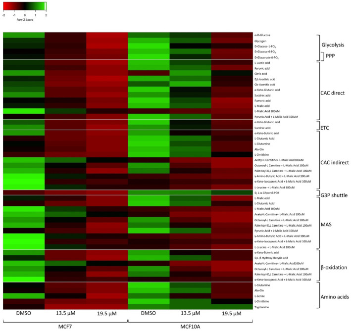 The effect of the cannabinoid ratio on the processing of bioenergetic substrates in the MCF7 cell line. The effect of treatment with DMSO vehicle control, and two concentrations of the cannabinoid ratio (13.5 and 19.5 μM) on the processing of 31 substrates, was determined using the Biolog MitoPlate S‐1. The total area under the curve was calculated and expressed as a fold change relative to the no substrate control of the DMSO vehicle control and plotted as a heat map using Heatmapper with row scaling to compare the treatments (n = 3). CAC, citric acid cycle; DMSO, dimethyl sulfoxide vehicle control; G3P, glycerol 3 phosphate; MAS, malate aspartate shuttle; PPP, pentose phosphate pathway.